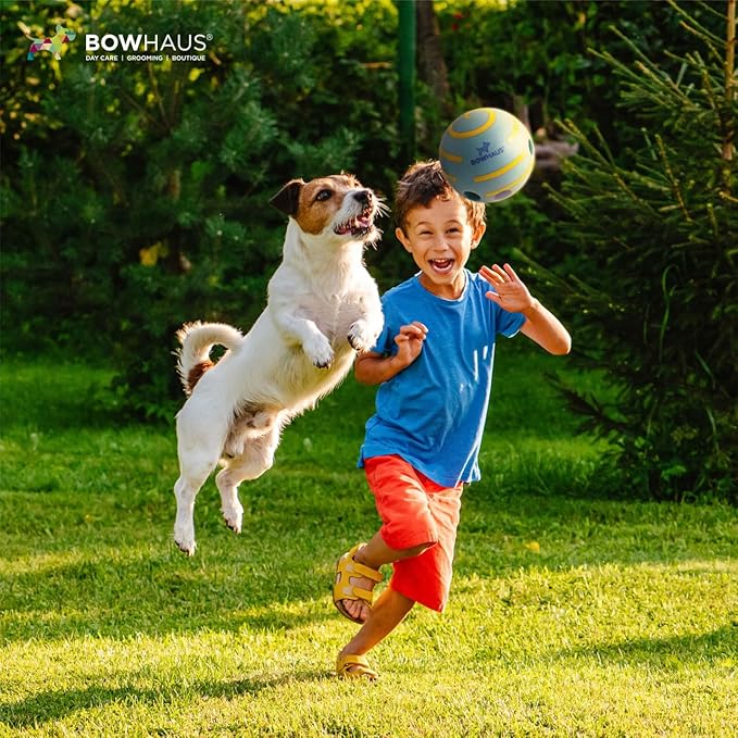 CAPHAUS Wobble Giggle Ball for Dogs, 5.5 Inch Durable Dog Exercise Toys, Non-Toxic Indestructible PVC Giggle Ball, Interactive Fun Squeaky Chew Toy for Indoor Outdoor Play