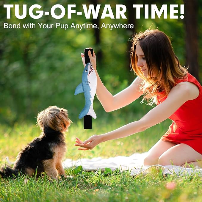 BINGPET Tug of War Dog Toy with 2 Strong Handles,Durable Oxford Fabric Squeaky Dog Tug Toy for Small to Medium Dogs,Interactive Bite Rope Toy for Tug of War,Pull,Fetch,Puppy Training