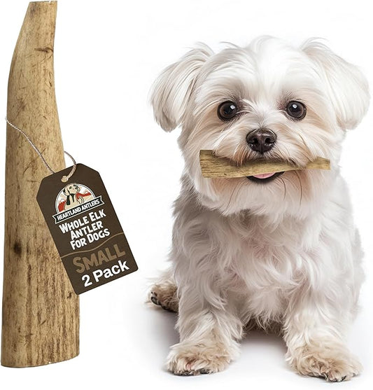 Heartland Elk Antlers for Dogs - Daily Dental Chews for Small Breed Aggressive Chewers to Promote Healthy Teeth & Prevent Destructive Behavior (Whole Elk, 4-5", 2-Pack, USA Made)