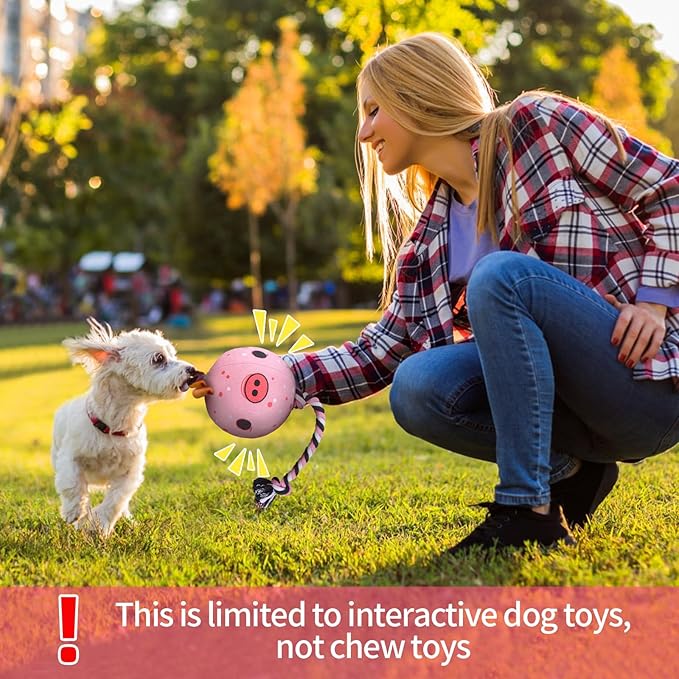 QDAN Dog Rope Dogs Toy: Dog Soccer Ball with Strap, Balls on Rope Plush Outdoor Birthday Toys for Small to Medium(for Medium Dogs, Pig)