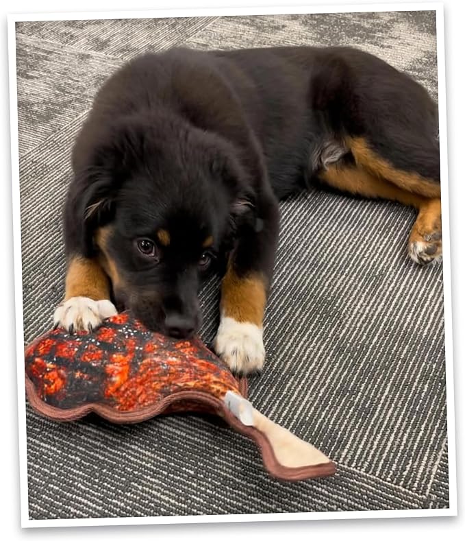 Doggijuana | Tuffer Chewer - Interactive Dog Toy with Juananip Refill | Refillable Durable Dog Toy for Engaging Play and Natural Calming (Tomahawk Steak Toy)