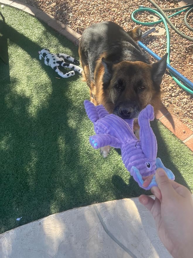 Jalousie Multipack Dog Squeaky Toys Strong Almost Indestructible, with Added Liner for Longer Play Dog Chew Toys (Medium to Large Breeds, 5 Pack Corduroy)