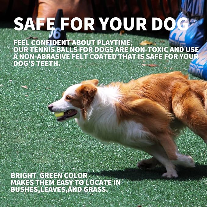 ALL FOR PAWS Interactive Dogs Ball Toy, 2.5" Dog Safety Fetch Balls Toy with High Bounce, Exercise and Play Dogs Tennis Balls Suitable for Ball Launchers