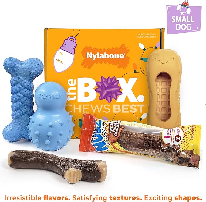 Nylabone Dog Gift Box, Includes 4 Rubber Strong Chew Toys and 1 Natural Treat, Gifts for Dogs, Small - Up to 25 lbs, 5 Pack