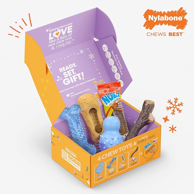 Nylabone Dog Gift Box, Includes 4 Rubber Strong Chew Toys and 1 Natural Treat, Gifts for Dogs, Small - Up to 25 lbs, 5 Pack