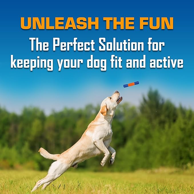 Nerf Dog Exo Squeak Stick Outdoor Dog Toy, 8 Inch Squeaking Puppy Toy for Puppies and Small Dogs, Blue/Orange