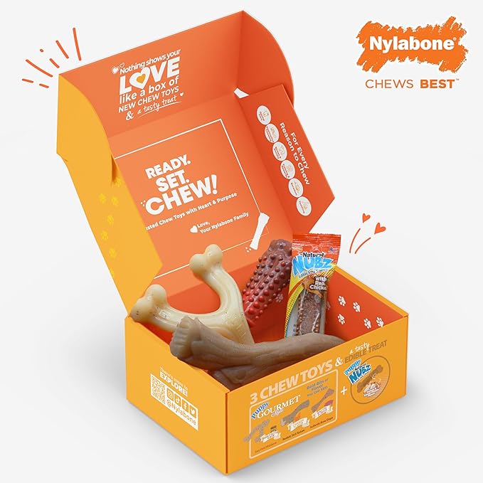Nylabone Dog Gift Box, Includes 3 Strong Chew Toys and 1 Natural Treat, Gifts for Dogs, Large - Up to 50 lbs, 4 Pack