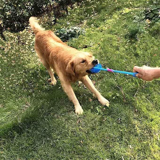 Orgrimmar 6 PCS Pet Squeaky Chewing Balls Dog Soft Stab Cleaning Teeth Toys Balls with High Bounce for Small Medium Large Pet Dog Cat Toys(Small,2.55in)