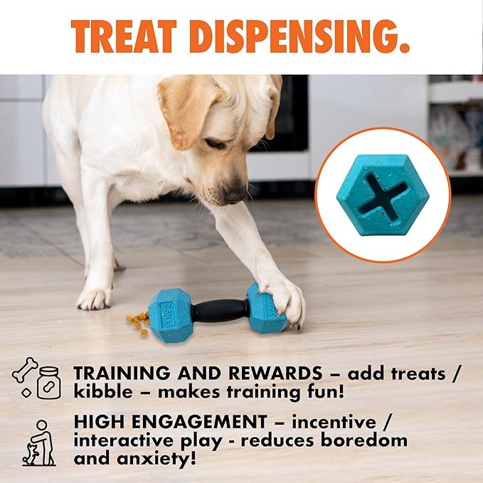 Max Fusion Made with Nike Grind, Dumbbell Dog Toy, Blue Treat Dispenser, Natural Rubber Chew Toy for Medium & Large Dog Breeds & Puppies, Dental Health, Puzzle, Reward Play, Training Toy