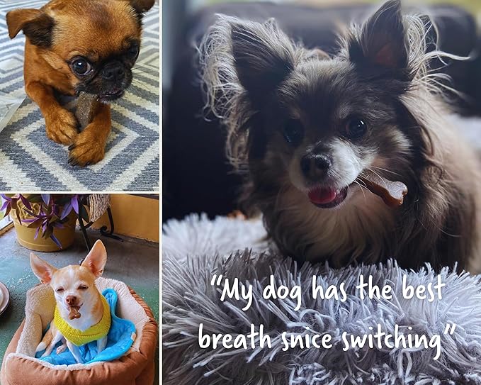 Earthbones Dental for Small Dogs, 90ct (3pk)