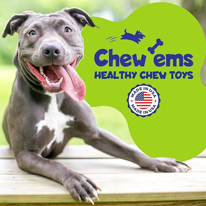 Chew'ems Durable Chew Toys for Small Dogs, Long-Lasting & Flavorful Chew Dog Toys, Small Dog Breeds | Beef-Flavored