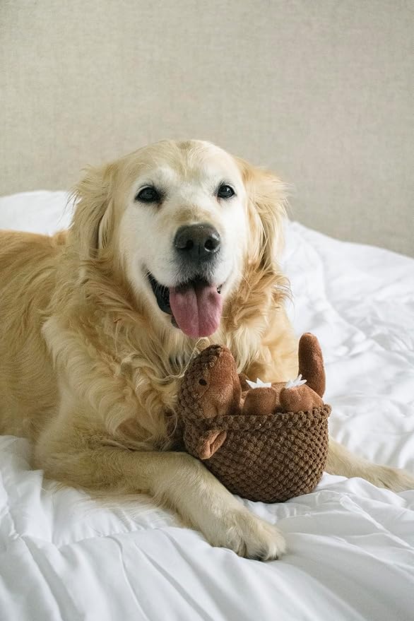 Flourish Pets 3 in 1 Multi-Layer Chew Toy for Active Dogs | Non-Toxic BPA Free Double Stitched Soft Fabric Exterior Dog Toys | Long-Lasting Dog Plush Toys – Large Armadillo 7"