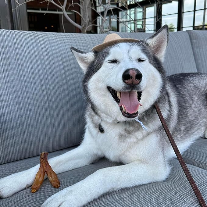 Pupford Turbo Beef Tendon Chews for Dogs & Puppies, All-Natural Dog Chew with Glucosamine for Joint Health, Long-Lasting Toy, Great for Teething (3 Count)