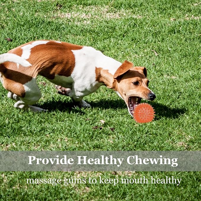 6pack Squeaky Dog Toys Spiky Dog Balls Cleans Teeth and Promotes Dental and Gum Health for Your Pet Squeaker Ball Toys for Aggressive Chewers (S 6PACK)