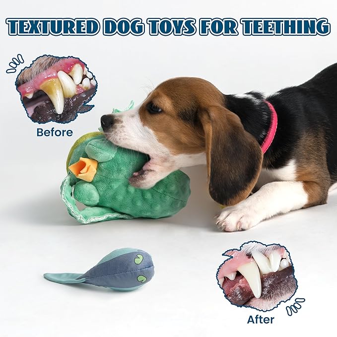 Nocciola 2 in 1 Frog Prince Plush Dog Toy, Rip and Reveal Interactive Toys with Hidden Tadpole Inside Play Tug-of-War Game for Dogs and Puppies