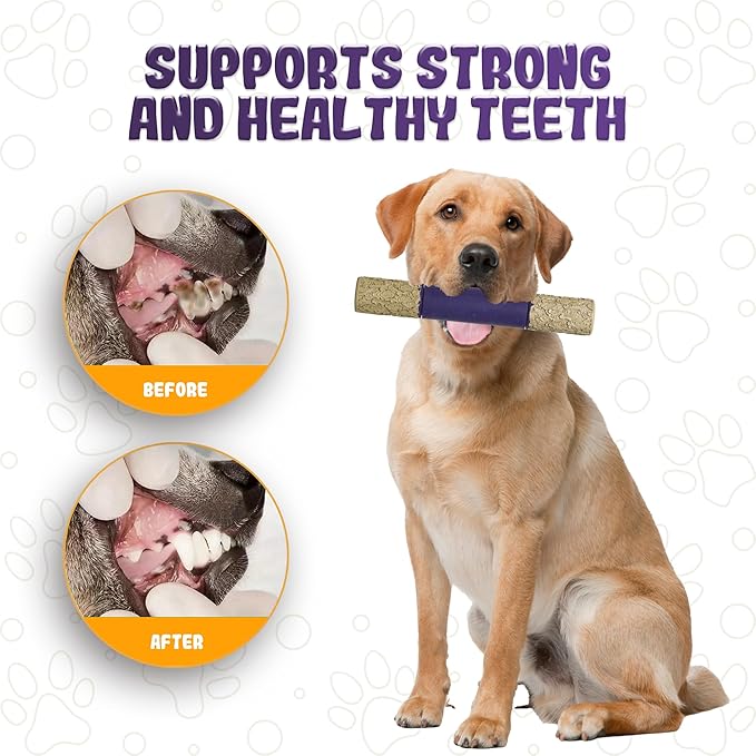 Indestructible Dog Chew Toy – Tough Rubber Stick for Aggressive Chewers, Safe & Treat-Fillable, Teething Toy for Large Breed & Puppies