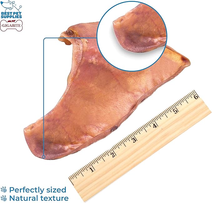 Best Pet Supplies GigaBite Roasted Pig Ears for Dogs - Natural Dog Chews, Roasted Pigs Ears, Safe for Puppies and Aggressive Chewers, Cleans Teeth and Gums - Pack of 40