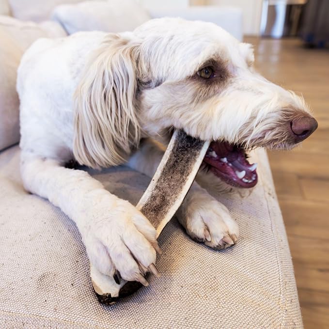 Good Trouble Premium Elk Antlers for Small Dogs – 2 Pack Split - All-Natural, Shed Antler Chews for Dental Health & Calming - Durable Dog Bones - Cruelty-Free, North American Sourced