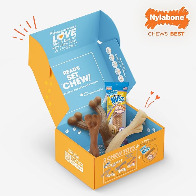 Nylabone Puppy Gift Box, Includes 3 Strong Puppy Chew Toys and 1 Natural Treat Bone for Puppies, Gifts for Puppies, Small Dogs - Up to 25 lbs., 4 Pack