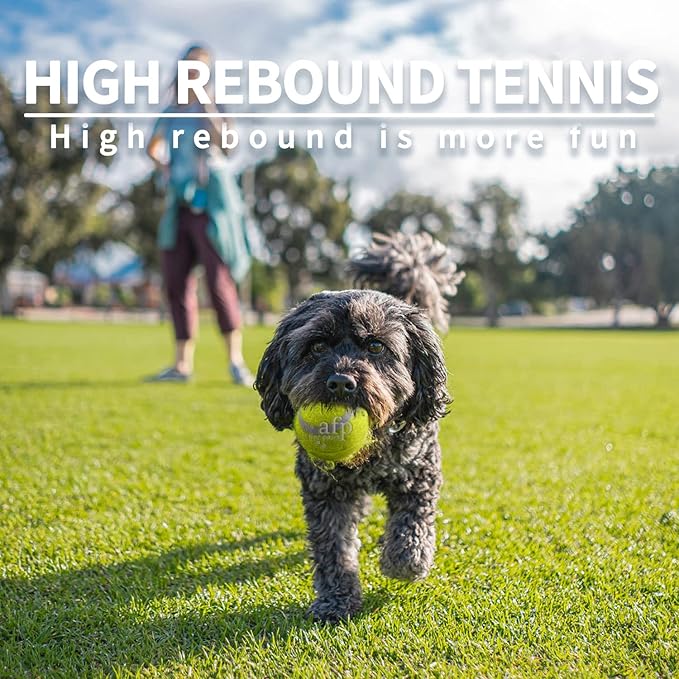 ALL FOR PAWS Dogs Ball Toy, 2" Dog Safety Balls Toy with High Bounce, Exercise and Play Interactive Dogs Tennis Balls Suitable for Ball Launchers