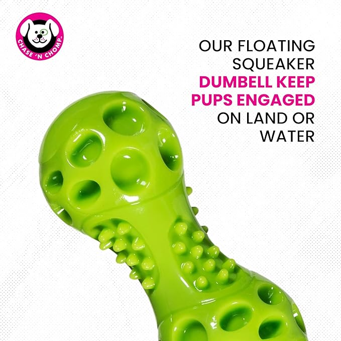 Chase 'n Chomp Squeak and Light Up Dumbbell Dog Toy, Mental & Physical Stimulation, Small, 2 Pack