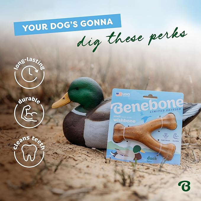 Benebone Wishbone Durable Dog Chew Toy for Aggressive Chewers, Duck, Made in USA, Medium