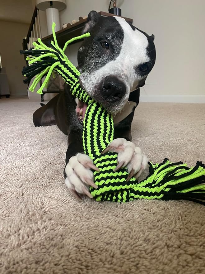 Jolly Pets Knot-N-Chew 2 Squeaker Green/Black Small/Medium