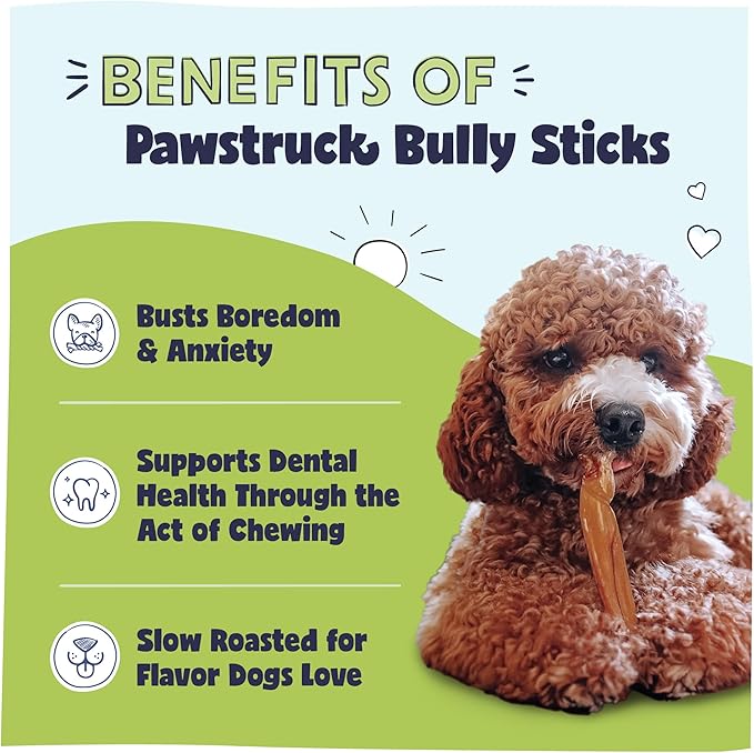 Pawstruck Natural 3–5" Bully Sticks for Small Dogs and Puppies – Single Ingredient, Low-Odor, Rawhide-Free Chew Treat – 100% Real Beef, No Artificial Preservatives – 8 oz Bag – Packaging May Vary