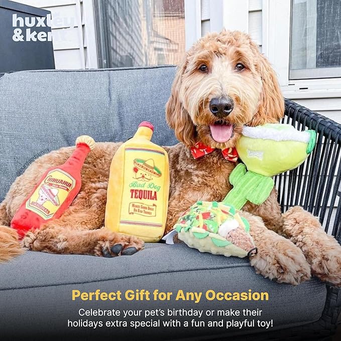 Huxley & Kent Plush Dog Toy w/Squeaker - Power Plush Stuffed Toy for Dogs - Cute, Funny & Tough Toys for Small & Large Dogs - Margarita Loco, Small