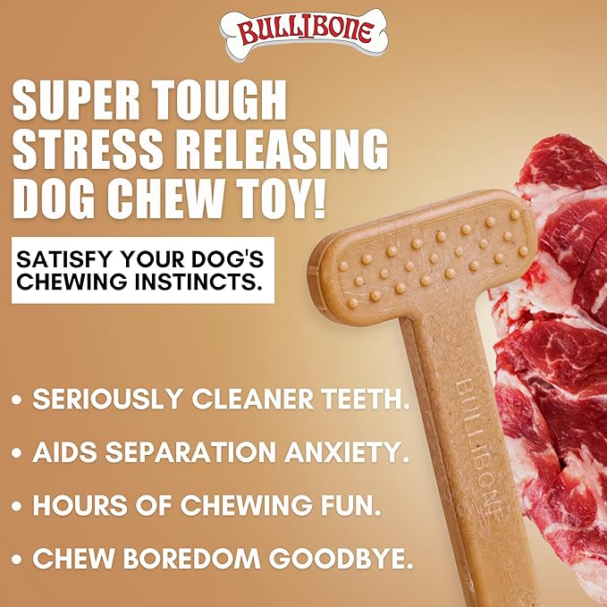 Bullibone Nylon Dog Chew Toy Nylon Bone - Improves Dental Hygiene, Easy to Grip Bottom, and Permeated with Flavor (Beef, Large - 2 Pack)