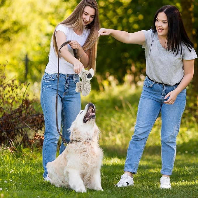 HDSMNGY Squeaky DogToys for Aggressive Chewers,Indestructible Dog Squeaky Toys with Crinkle Paper, Durable Teething Chew Toys for Medium and Large Breed