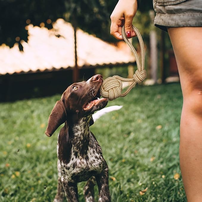 Dog Chew Toys-Puppy Tug Toys-Natural Cotton Rope-Pets Teething Interactive Knots for Small Medium Dog Mutt (Set of 4)