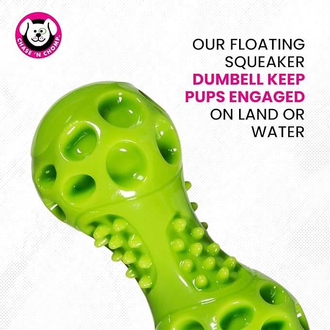 Chase 'n Chomp Squeak and Light Up Dumbbell Dog Toy, Mental & Physical Stimulation, Large, 2 Pack