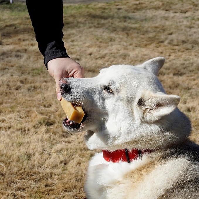 Authentic Himalayan Natural Dog Cheese Chew (Pack of 4 Large & XLarge Chews), Premium Organic Yak Chew, Keeps Your Dog Busy, Ideal for Indoors and Outdoors Use