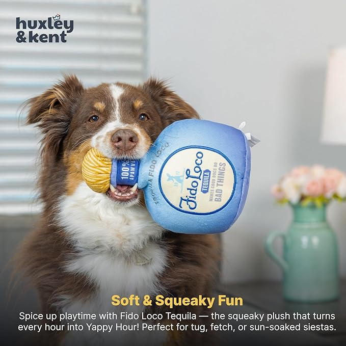 Huxley & Kent Funny Dog Toy w/Squeaker – Power Plush Squeaky Dog Toys for Small, Medium & Large Dogs – Soft Stuffed Animal for Indoor Play & Fetch - Fido Loco, Large