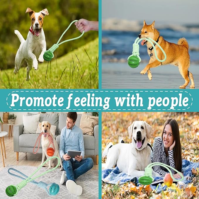 Dog Rope Toy, Dog Toy with Rubber Ball for Small and Medium Dogs, Training & Promoting Relationship Durable Outdoor Puppy Chew Toys for Teeth Cleaning, Fetch & Training(Green)