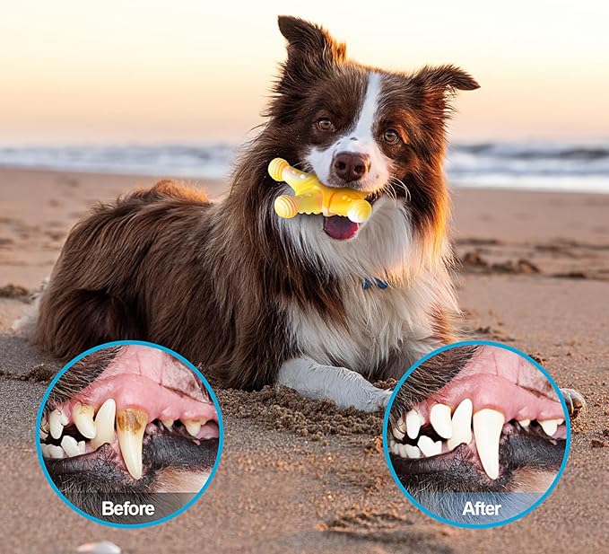KXK Durable Dog Chew Toys for Aggressive Chewers Large Medium Small Breed, Tough Dog Toys for Large Medium Small and Puppies Teeth Cleaning, Pet Toy with Durable Nylon (New-4 Pack)