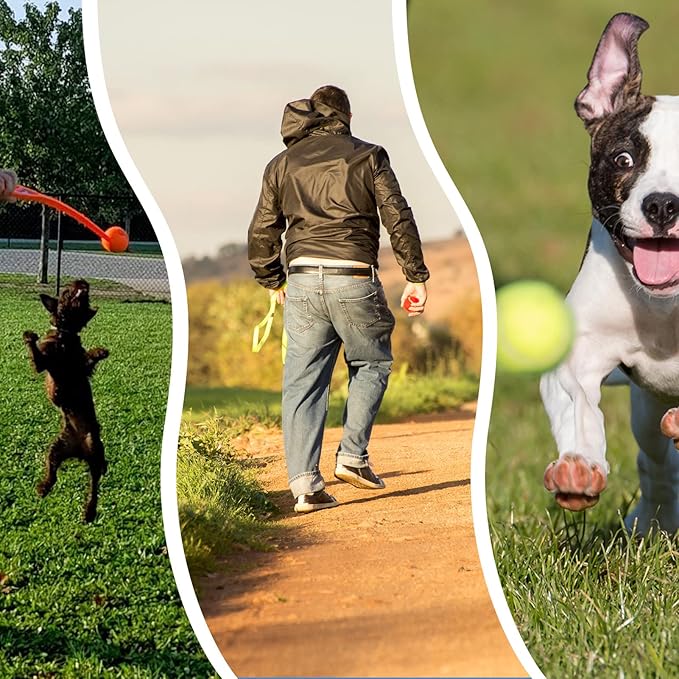 ptlsy Dog Ruber Balls 16 Pack Pet Mini Tennis Ball for Small Medium Dogs Fetching (2 inch)