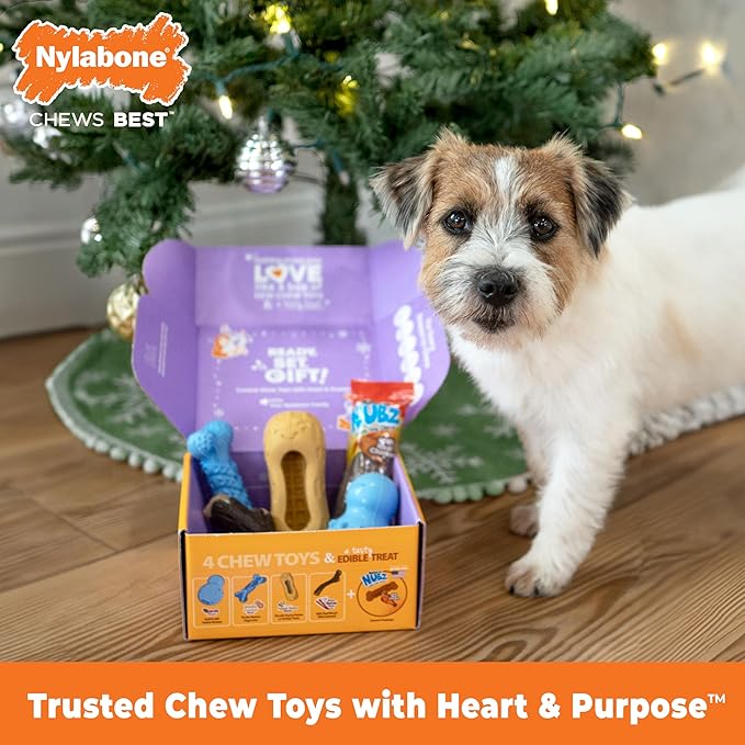 Nylabone Dog Gift Box, Includes 4 Rubber Strong Chew Toys and 1 Natural Treat, Gifts for Dogs, Small - Up to 25 lbs, 5 Pack