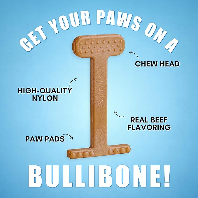 Bullibone Nylon Dog Chew Toy Nylon Bone - Improves Dental Hygiene, Easy to Grip Bottom, and Permeated with Flavor (Beef, XL - 3 Pack)