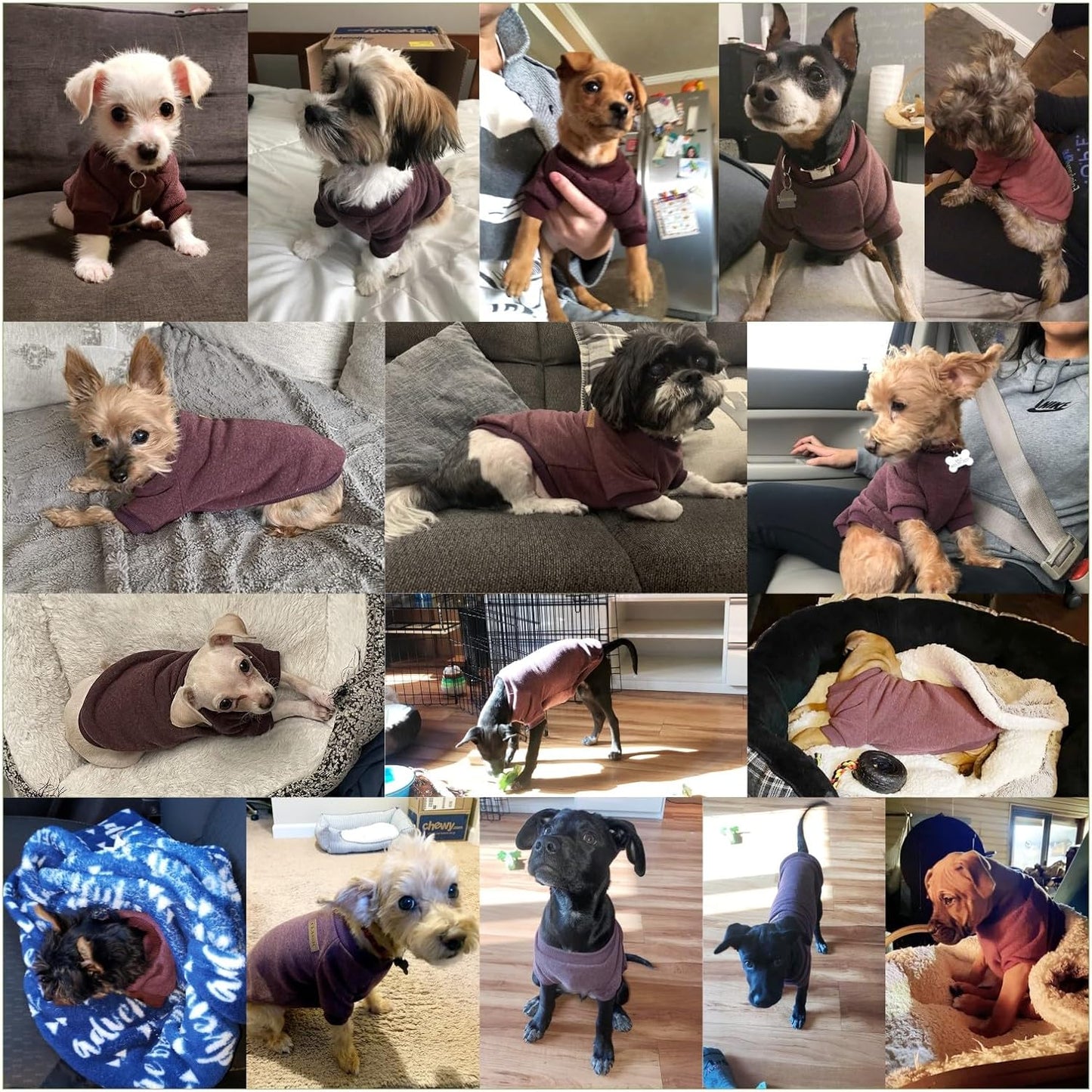 Jecikelon Dog Clothes Dogs Sweater Soft Puppies Clothing Winter Puppy Sweaters Warm Outfit for Dogs Small XXS XS Cat Apparel (Medium, Brown)