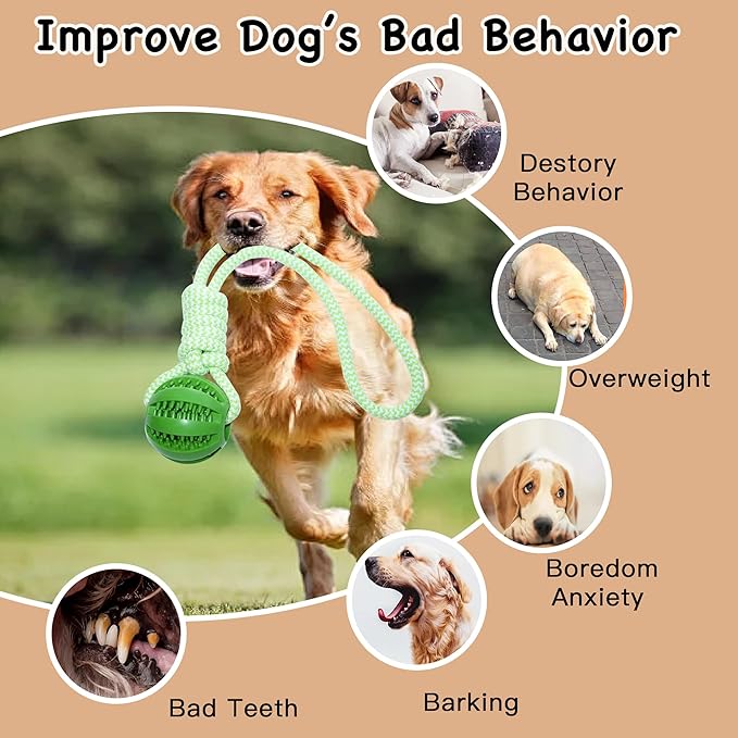 Dog Rope Toy, Dog Toy with Rubber Ball for Small and Medium Dogs, Training & Promoting Relationship Durable Outdoor Puppy Chew Toys for Teeth Cleaning, Fetch & Training(Green)