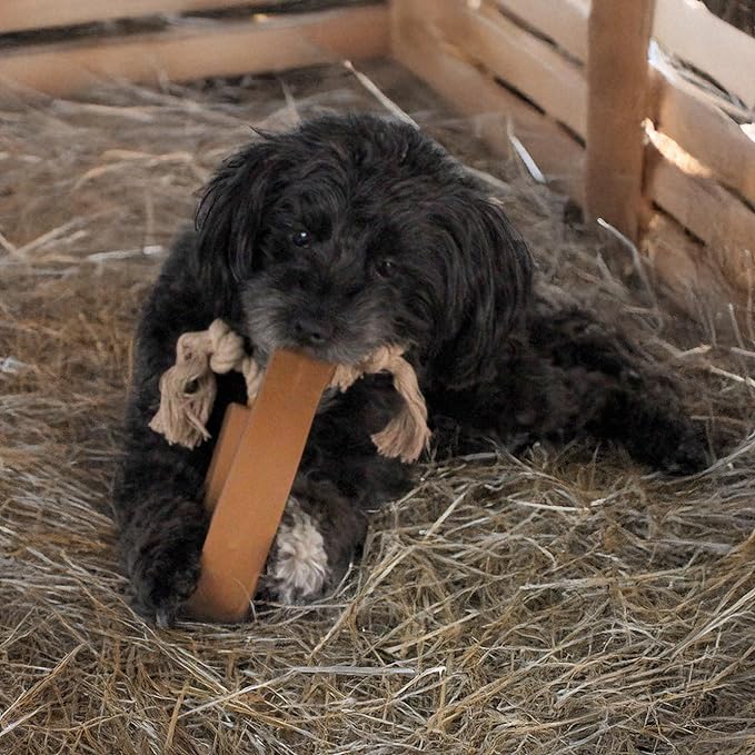 design LAB, Inc. Official Yellowstone Merchandise | Toy Bundle - Variety Gift Set for Yellowstone Fans with Dogs | Squeaky Toys Include Branded Beef Steak, Western Horseshoe, and Cowboy Boot