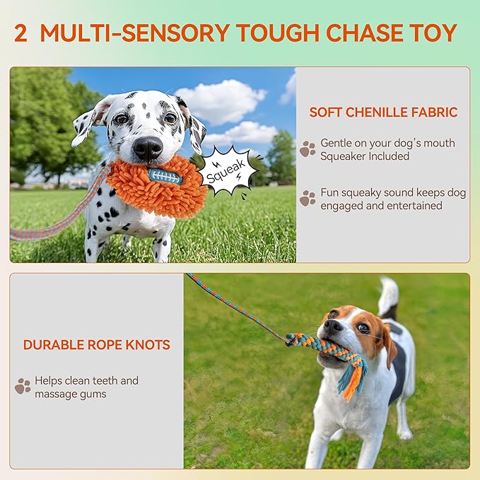 ALL FOR PAWS Interactive Flirt Pole Toy for Dogs Training & Exercise – Durable Teaser Wand with Luring Rope, Tug of War Chase Toy for Small to Medium Dogs