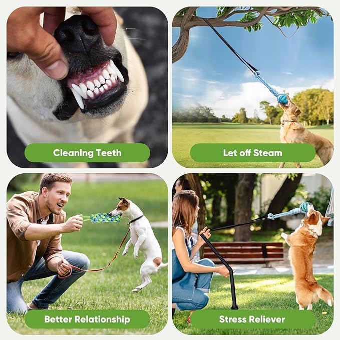 Dog Bungee Toy,Interactive Dog Tug of War Toys Set with Tether, Rope and Ball, Tree Hanging Toy with 2 Chew Ropes,Indoor Spring Pole Ropes,for Small/Medium Dogs