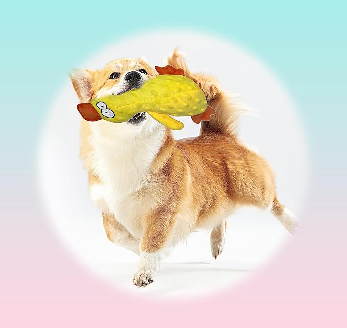 Squeaky Duck Dog Toy for Small, Medium and Large Dogs, Durable Interactive Dog Toys to Keep Them Busy, Soft Crinkle Plush Puppy Chew Toys Teething and Boredom (Mr. Ducky Yellow 1PC)