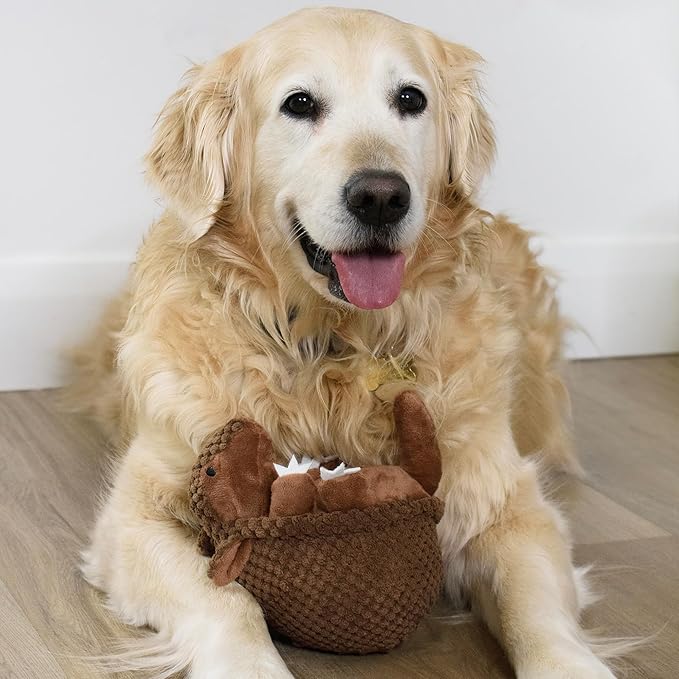 Flourish Pets 3 in 1 Multi-Layer Chew Toy for Active Dogs | Non-Toxic BPA Free Double Stitched Soft Fabric Exterior Dog Toys | Long-Lasting Dog Plush Toys – Small Armadillo 5.5"