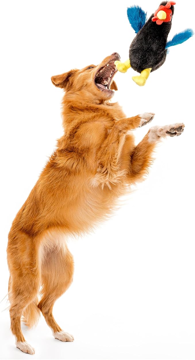 Playology Plush Toys for Dogs | Stuffed Animal Hen | Chicken Scented for Medium Dogs