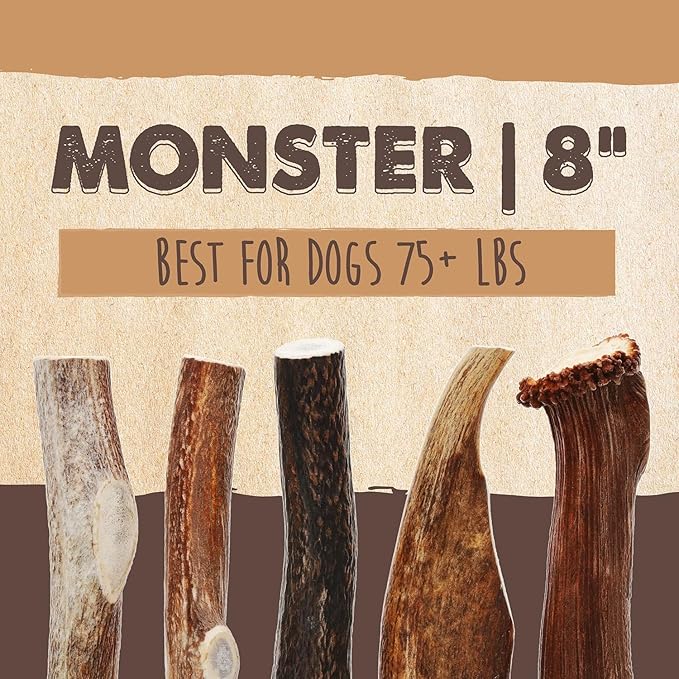 Mighty Paw Split Elk Antlers for Dogs (Sourced in The USA) | 1 Whole Monster 8"+ Long Lasting Bones for Aggressive Chewers - Naturally Shed Split Deer Antler for Dogs - Low Odor Chews (Pack of 1)