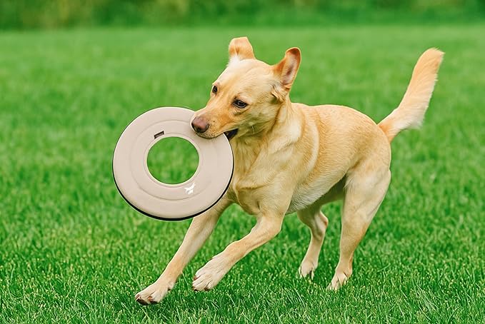 OllyDog Super Flyer | Durable Dog Frisbee | Soft & Lightweight Flying Disc | Gentle on Teeth & Gums | Water-Resistant Outdoor Toy (Con Leche)